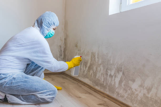 Commercial Mold Remediation assessment for commercial property in Huntingdon