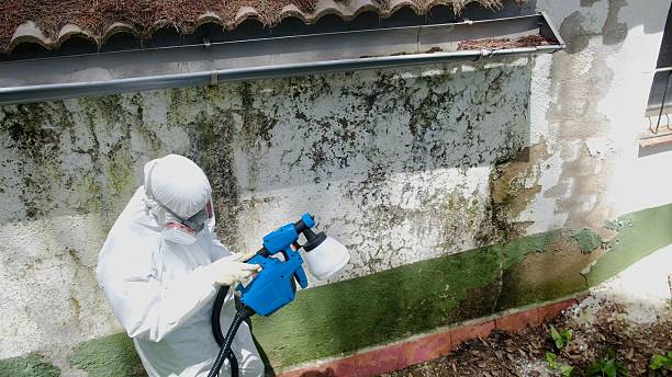 Mold Removal service in Huntingdon
